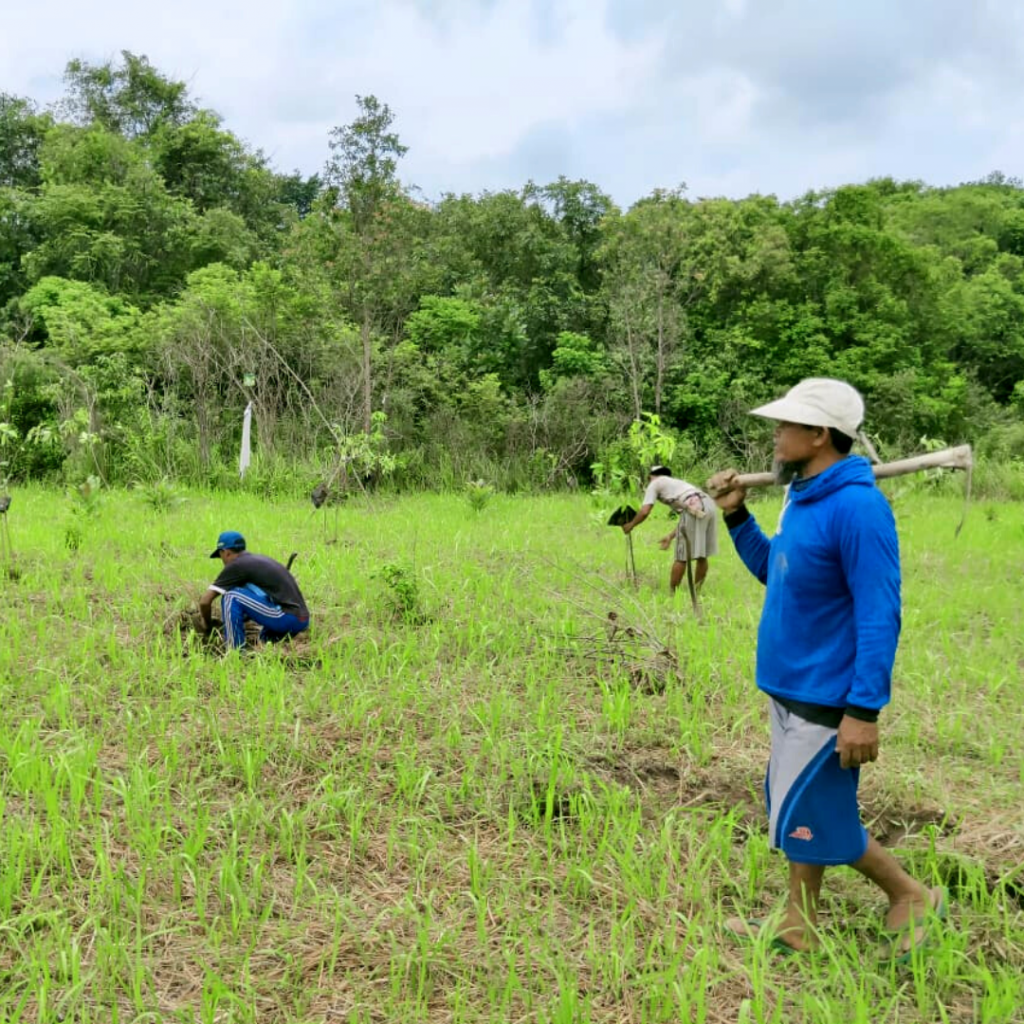 local villagers planting seedlings for reforestation 