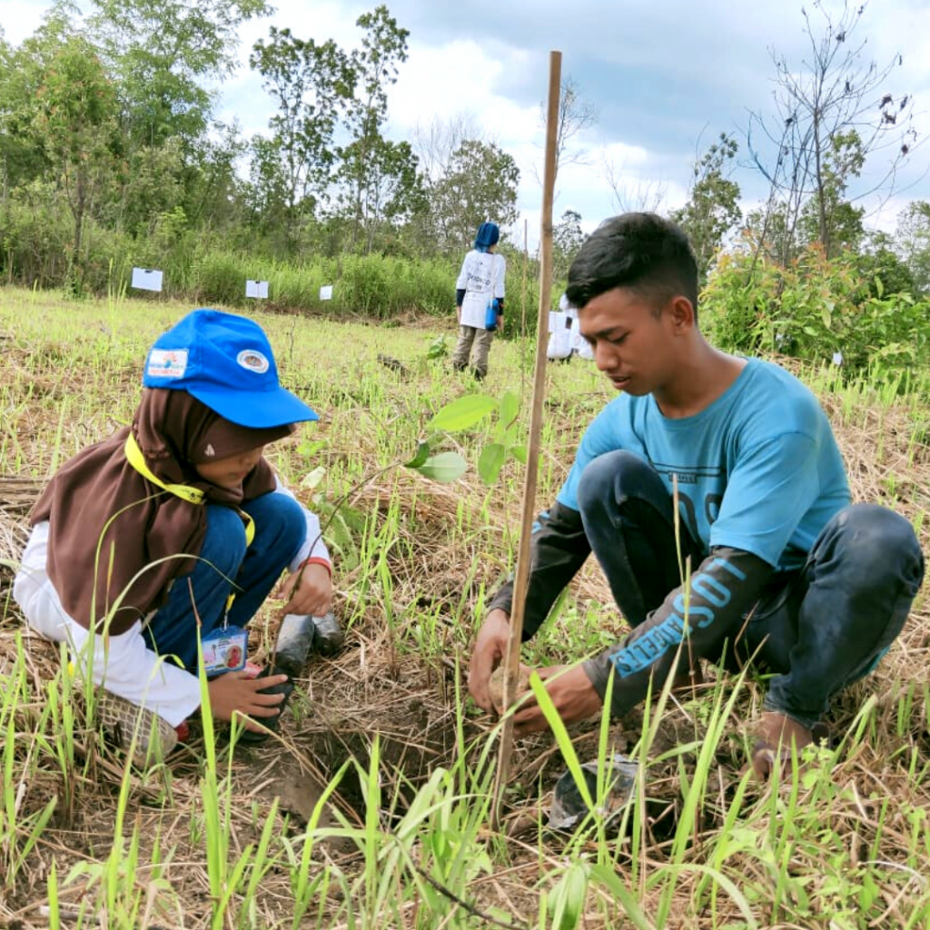 children planting seedlings for reforestation 